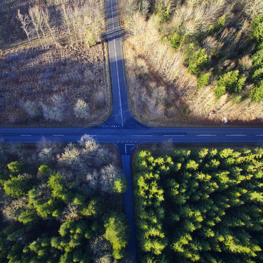De l'Espagne au Danemark : comment Gayotea soutient la durabilité mondiale