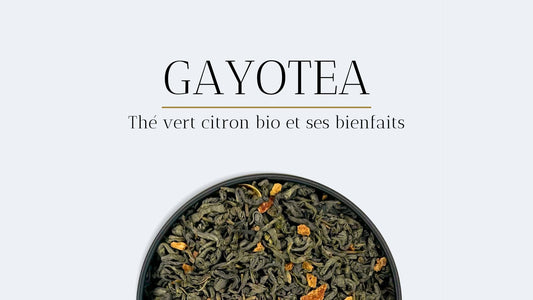 Thé vert citron bio : Bienfaits, origine et secrets d’un mélange rafraîchissant
