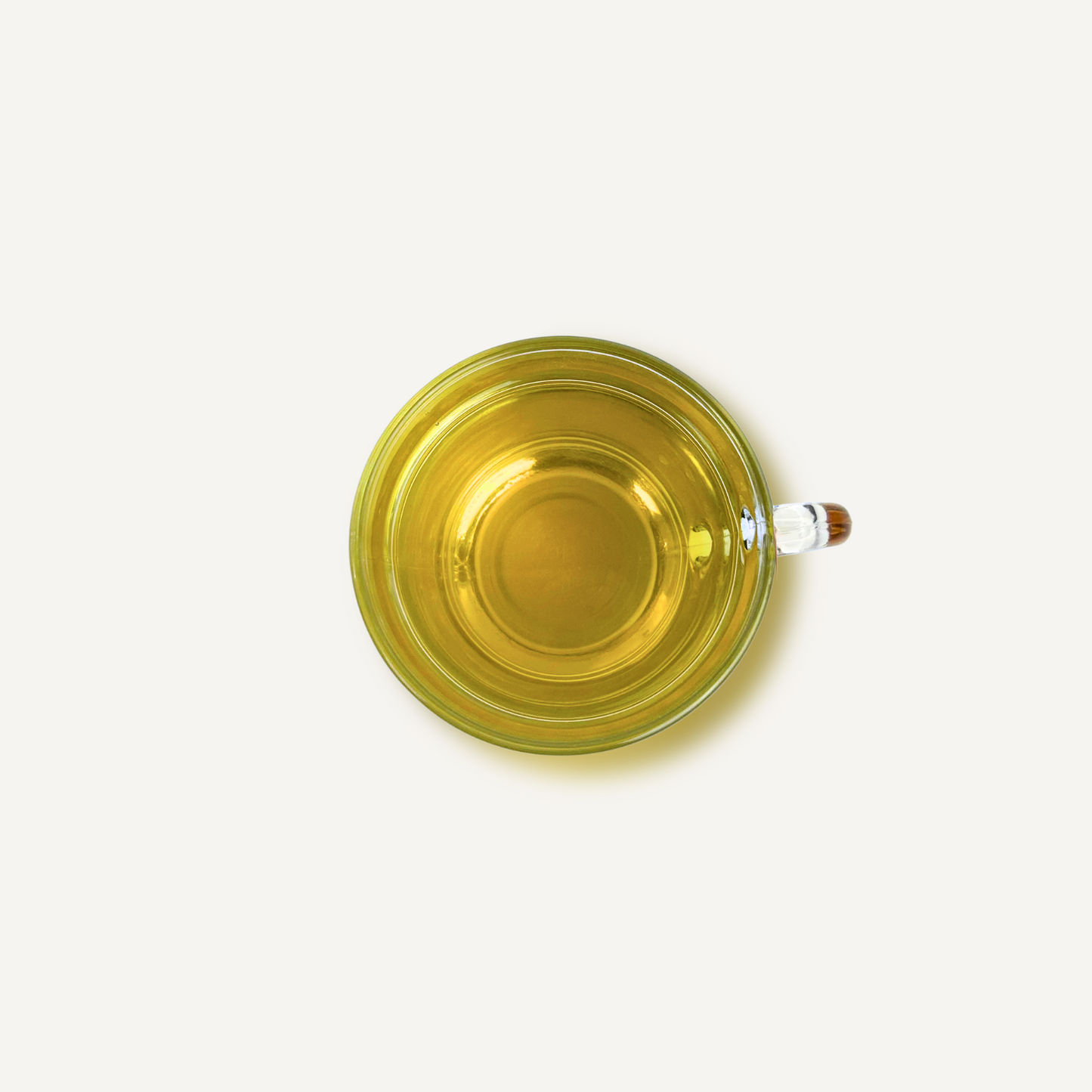 Thé vert Harmonie d'Or : Gingembre Citron Bio