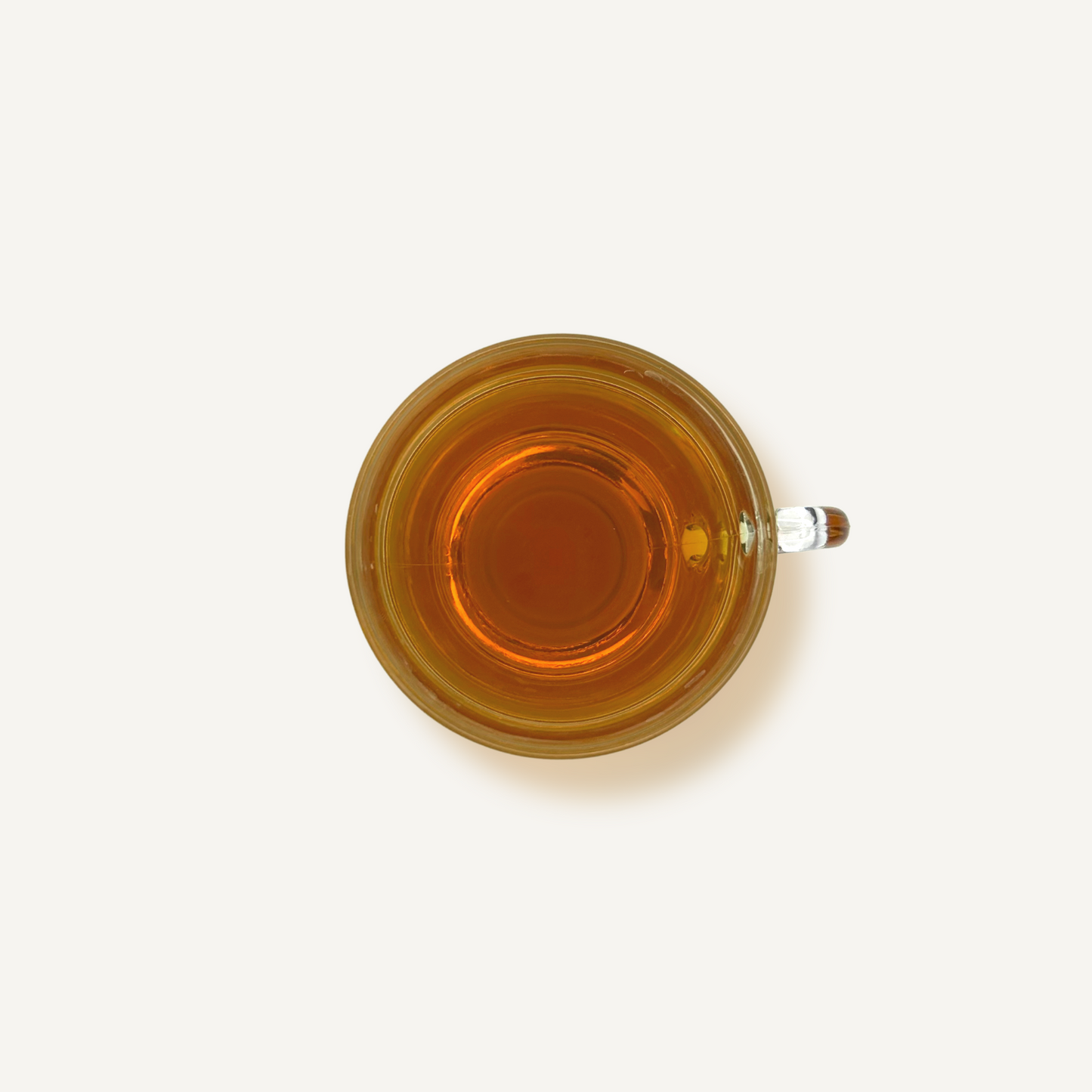 Infusion Détox Corsé Bio