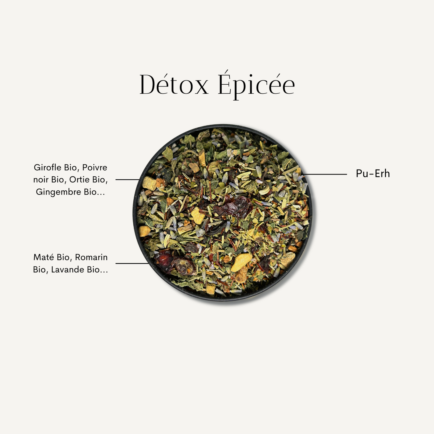 Infusion Détox Corsé Bio
