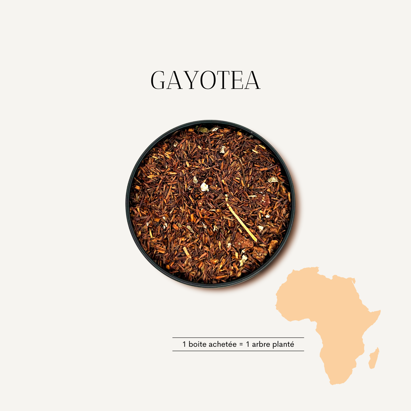 Rooibos fraise vanille Bio