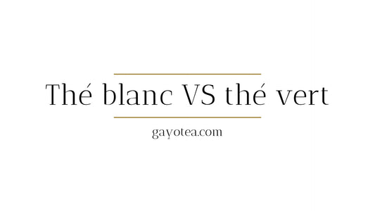 Thé blanc ou thé vert : lequel choisir ?