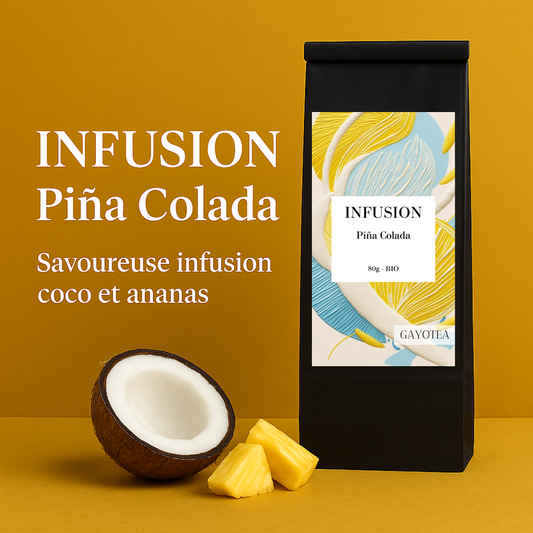 Infusion glacée Colada Dream Bio