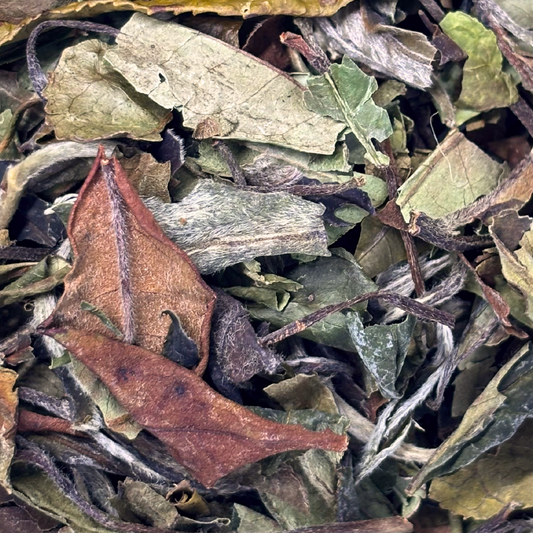 Thé blanc Pai Mu Tan Bio